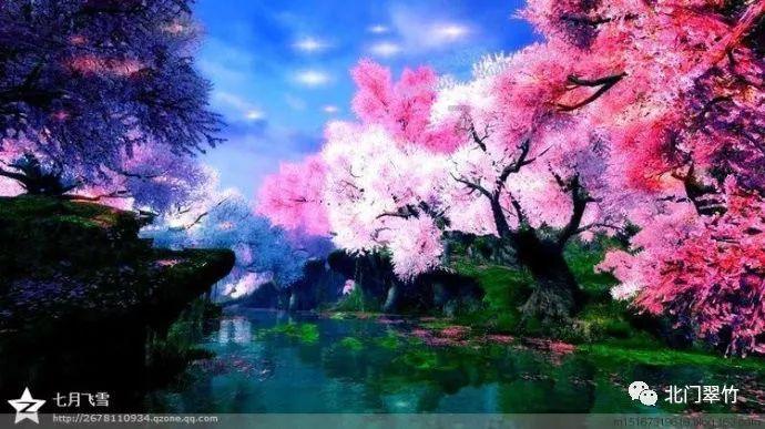 夏日的婚礼