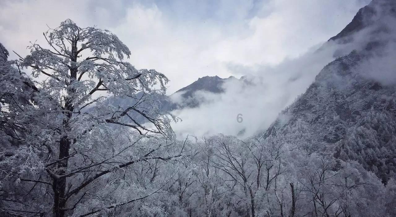 鹰击长空2
