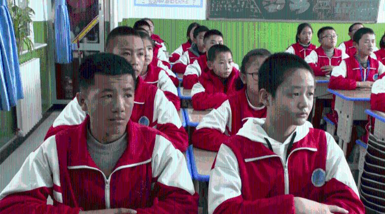 男童小区内被狗咬伤主人拒赔？家长：调解未果仍会继续维权