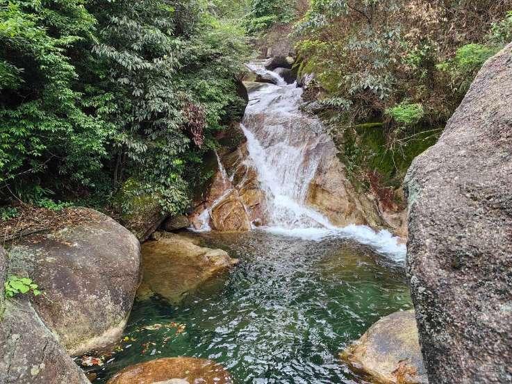 拯救蝙蝠家族
