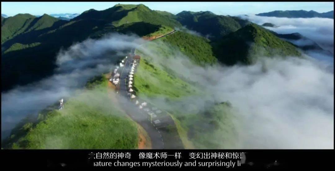 省卫生健康委开展无偿献血活动