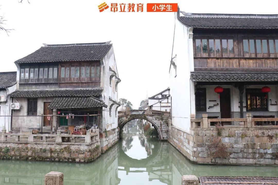 自贸区板块,火了!机器人“减肥药”,涨了!